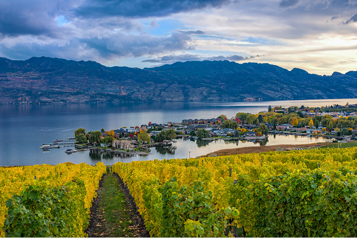 Long-Term Care Communities in British Columbia