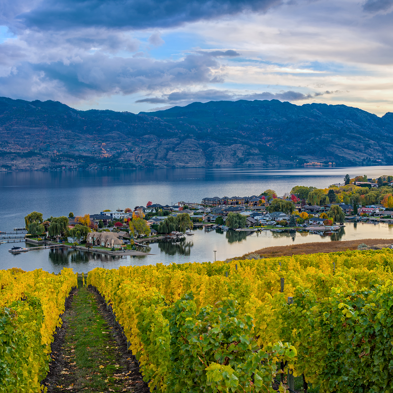 Long-Term & Continuing Care in British Columbia